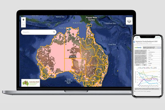Ground Cover Dashboard